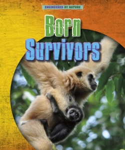 Bertrand.pt - Born Survivors