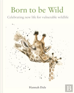 Bertrand.pt - Born To Be Wild