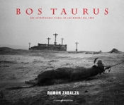 Bos Taurus  (Fotografias)  
