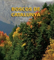 Boscos De Catalunya