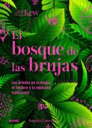 Bosque De Las Brujas
