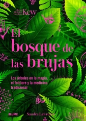 Bosque De Las Brujas