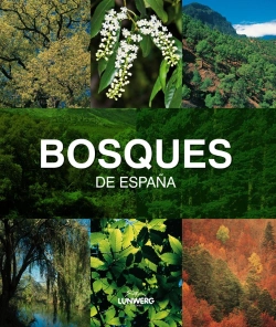 Bertrand.pt - Bosques De España. Lunwerg Medium