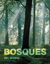 Bosques Del Mundo