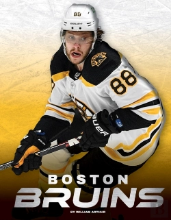 Bertrand.pt - Boston Bruins