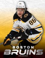 Boston Bruins