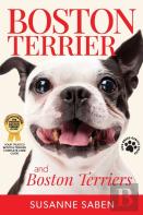 Boston Terrier And Boston Terriers