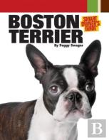 Boston Terrier