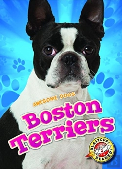 Bertrand.pt - Boston Terriers