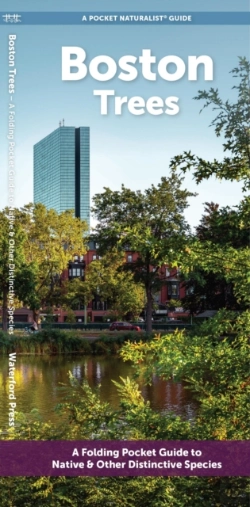 Bertrand.pt - Boston Trees