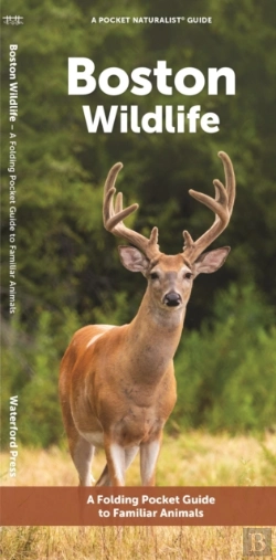 Bertrand.pt - Boston Wildlife