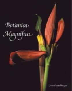 Bertrand.pt - Botanica Magnifica