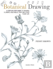 Botanical Drawing