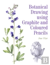 Botanical Drawing Using Graphite And Coloured Pencils