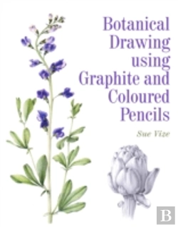 Bertrand.pt - Botanical Drawing Using Graphite And Coloured Pencils
