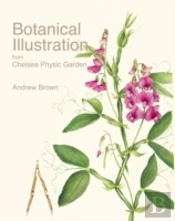 Botanical Illustration