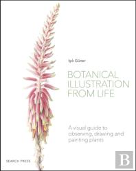 Botanical Illustration From Life