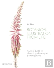 Botanical Illustration From Life