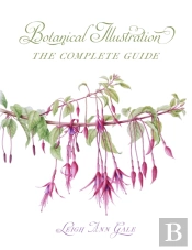 Botanical Illustration
