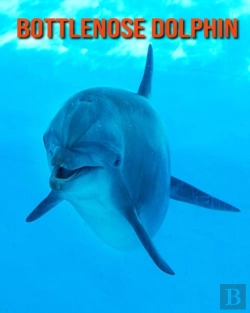 Bertrand.pt - Bottlenose Dolphin