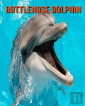 Bottlenose Dolphin