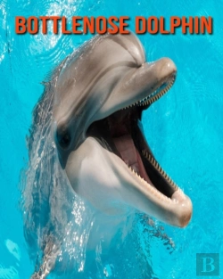 Bertrand.pt - Bottlenose Dolphin
