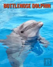 Bottlenose Dolphin