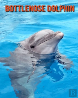 Bertrand.pt - Bottlenose Dolphin