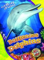 Bottlenose Dolphins