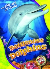 Bottlenose Dolphins