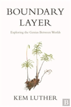 Bertrand.pt - Boundary Layer