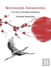 Boundless Awakening