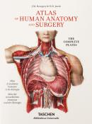 Bourgery - Atlas of Human Anatomy and Surgery