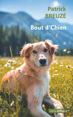 Bertrand.pt - Bout D'Chien