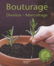 Bouturage ; Division, Marcottage
