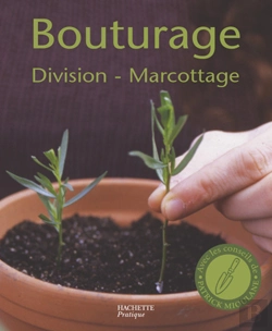 Bertrand.pt - Bouturage ; Division, Marcottage