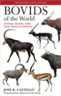 Bovids Of The World