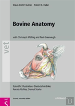 Bertrand.pt - Bovine Anatomy