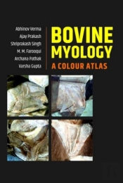 Bovine Myology