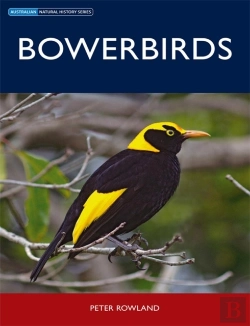 Bertrand.pt - Bowerbirds