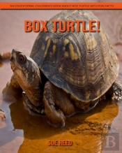 Box Turtle! An Educational Children'S Book About Box Turtle With Fun Facts