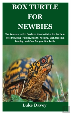 Bertrand.pt - Box Turtle For Newbies