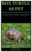 Box Turtle
