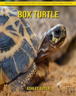 Bertrand.pt - Box Turtle
