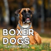 Boxer Dogs Calendar 2021
