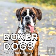 Boxer Dogs Calendar 2021