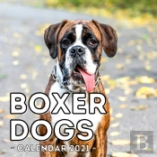 Boxer Dogs Calendar 2021