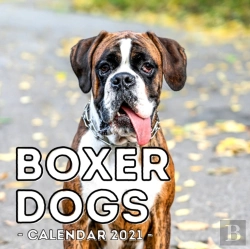 Bertrand.pt - Boxer Dogs Calendar 2021