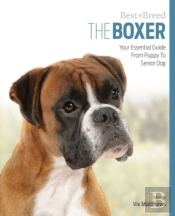 Boxer