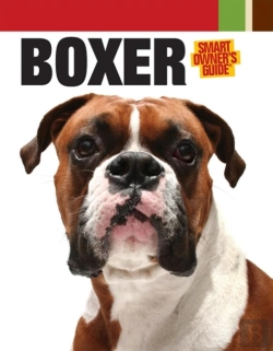 Bertrand.pt - Boxer